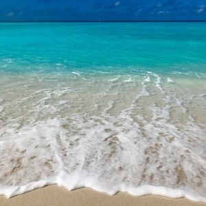 Meet your Posher, Arianna